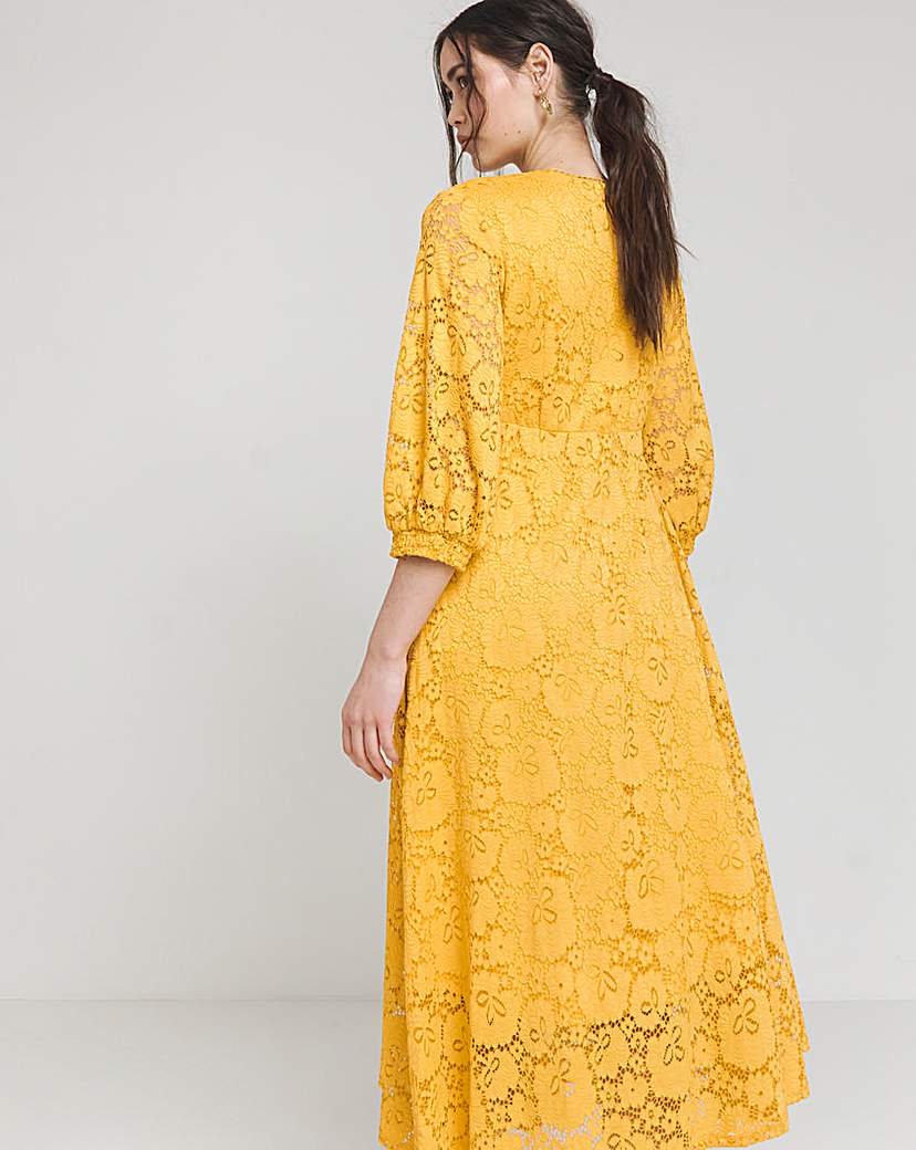 Joanna Hope Stretch Lace Dress