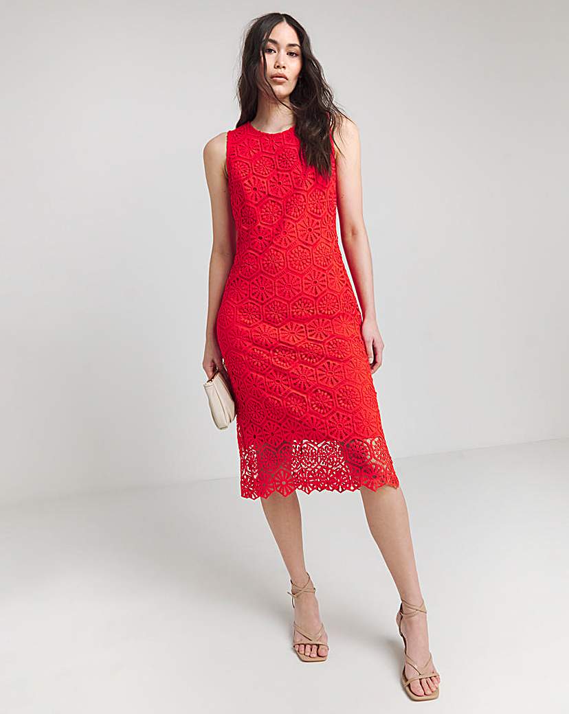 Joanna Hope Crochet Dress