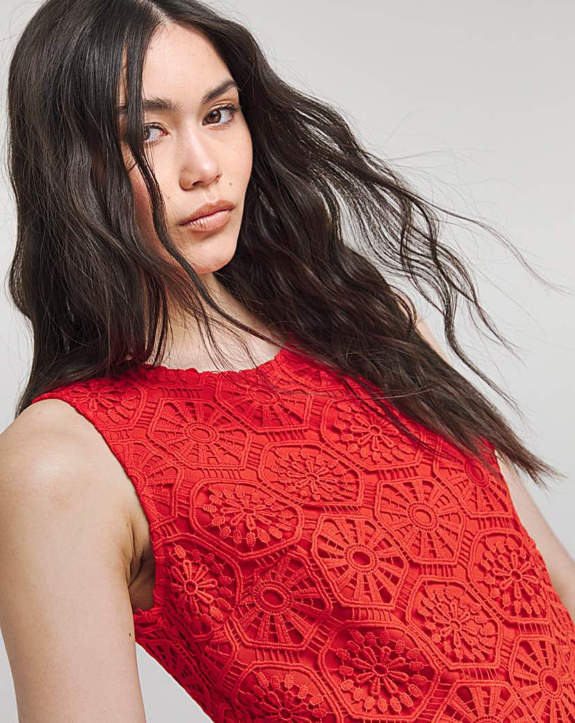 Joanna Hope Crochet Dress