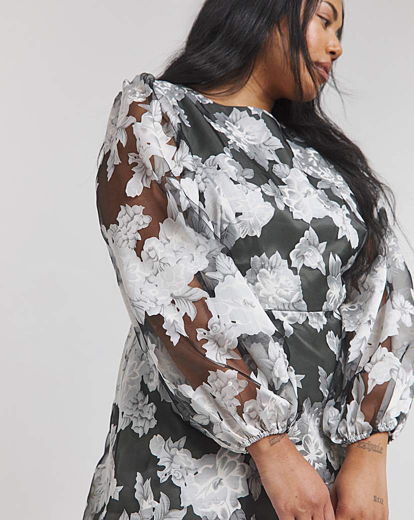 Joanna Hope Floral Organza Dress