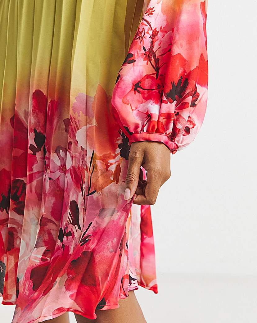 Joanna Hope Ombre Pleated Shift Dress