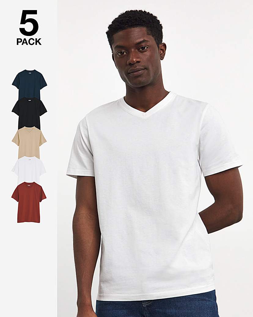 5 Pack Multi V Neck T-shirt - Multi