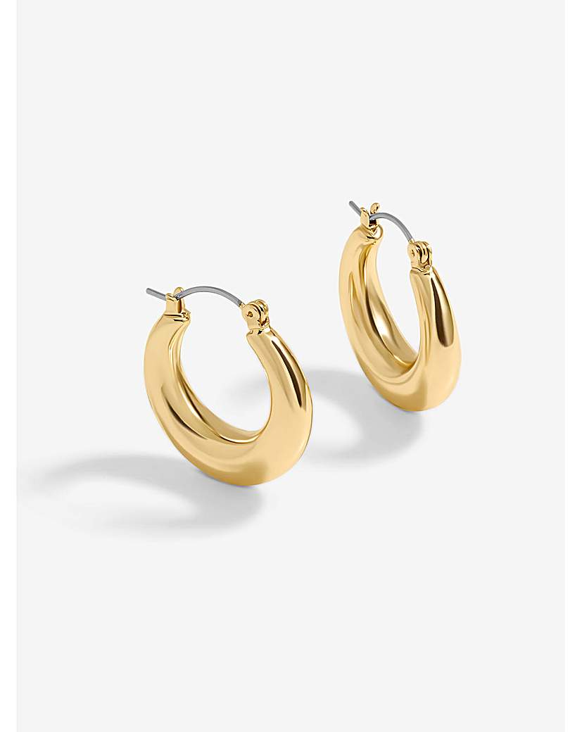New In - Jon Richard Gold Plated Graduated Hoops