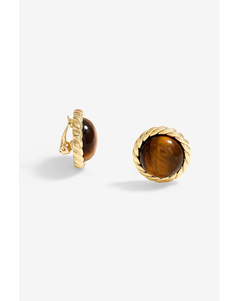 Jon Richard Tigers Eye Clip Earrings