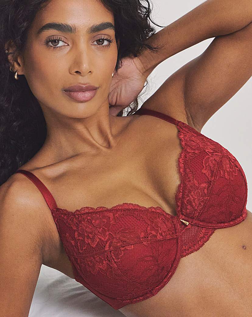 Padded Plunge Lace Push Up Bra