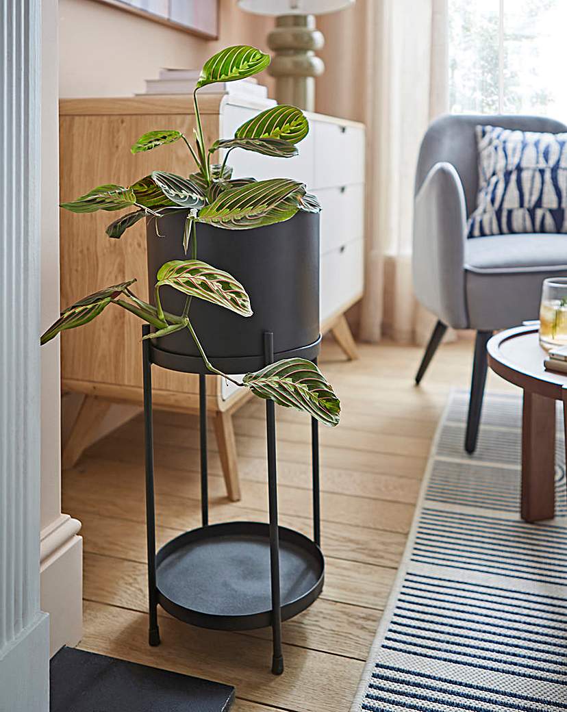 Gray & Osbourn Metal Planter with Stand