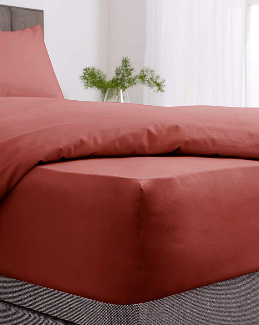 Easy Care Extra Deep Fitted Sheet - Rust