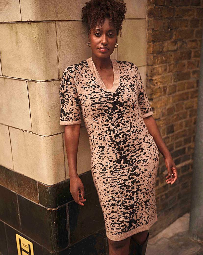 V Neck Animal Dress