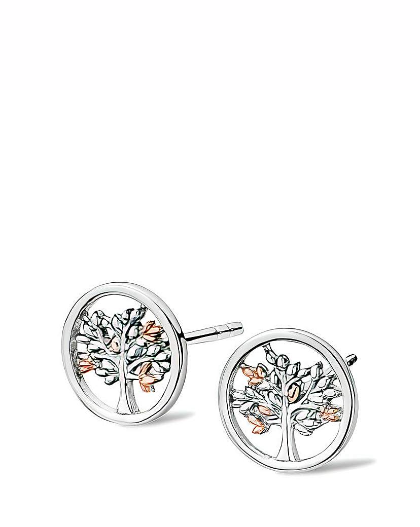 Clogau Tree of Life Circle Earrings