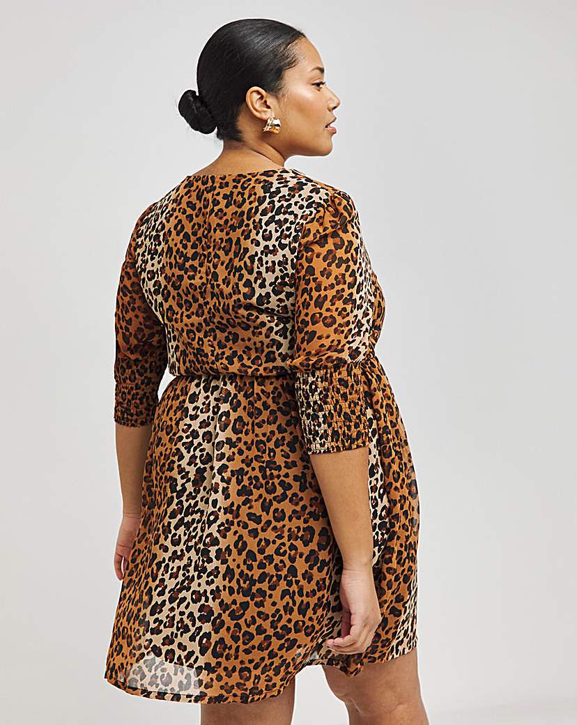 Leopard Print Knot Front Skater Dress