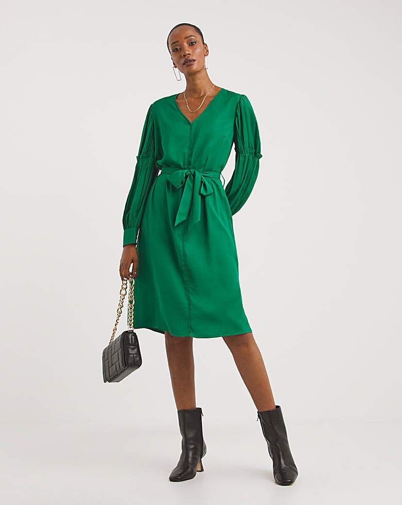 Balloon Frill Sleeve Swing Dress