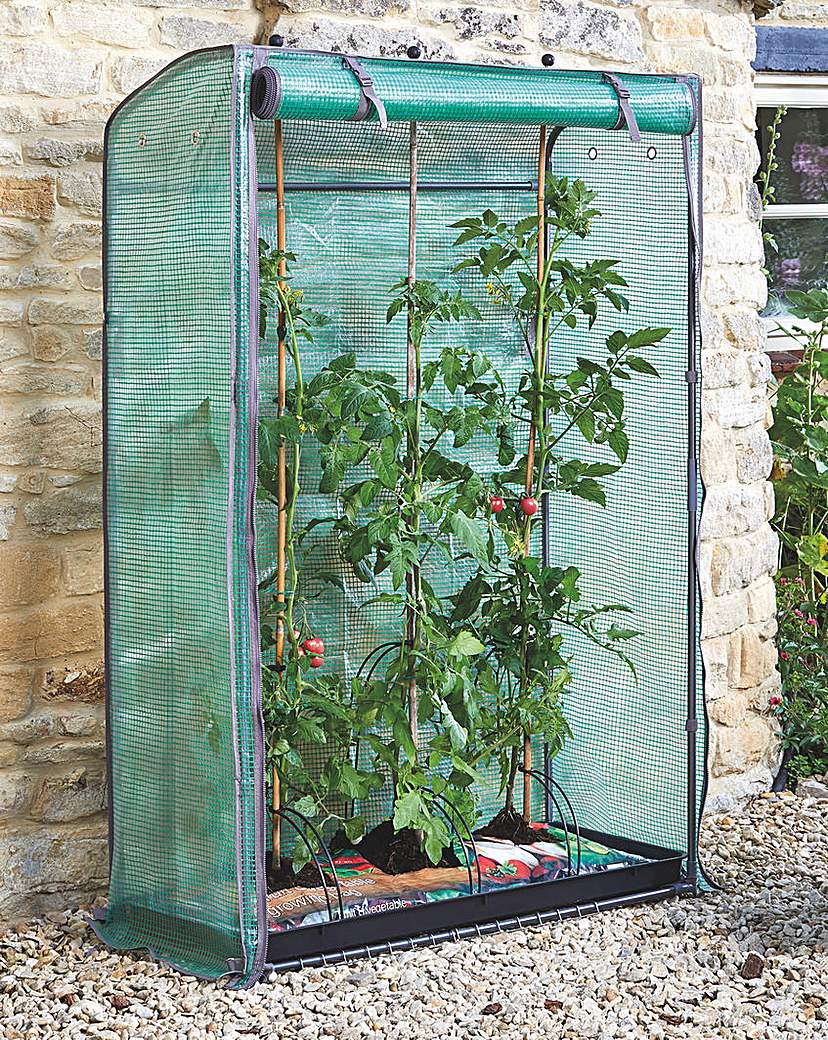 Smart Garden Tomato GroZone Greenhouse