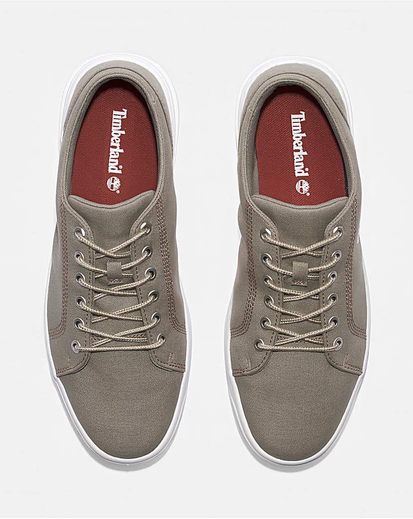Timberland Seneca Bay Low Lace Sneaker