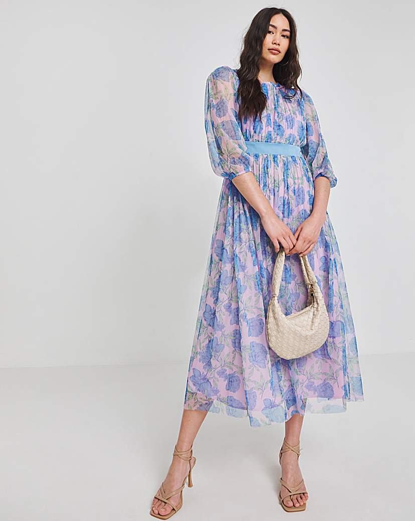 Joanna Hope Mesh Maxi Dress