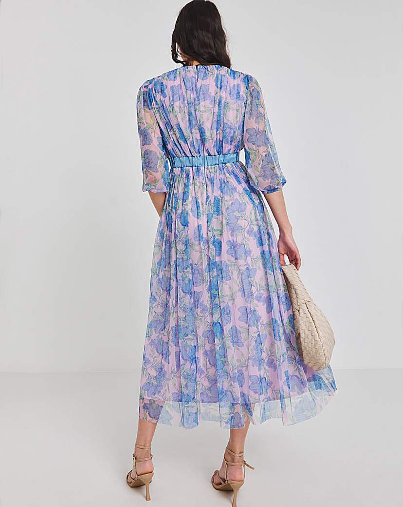 Joanna Hope Mesh Maxi Dress