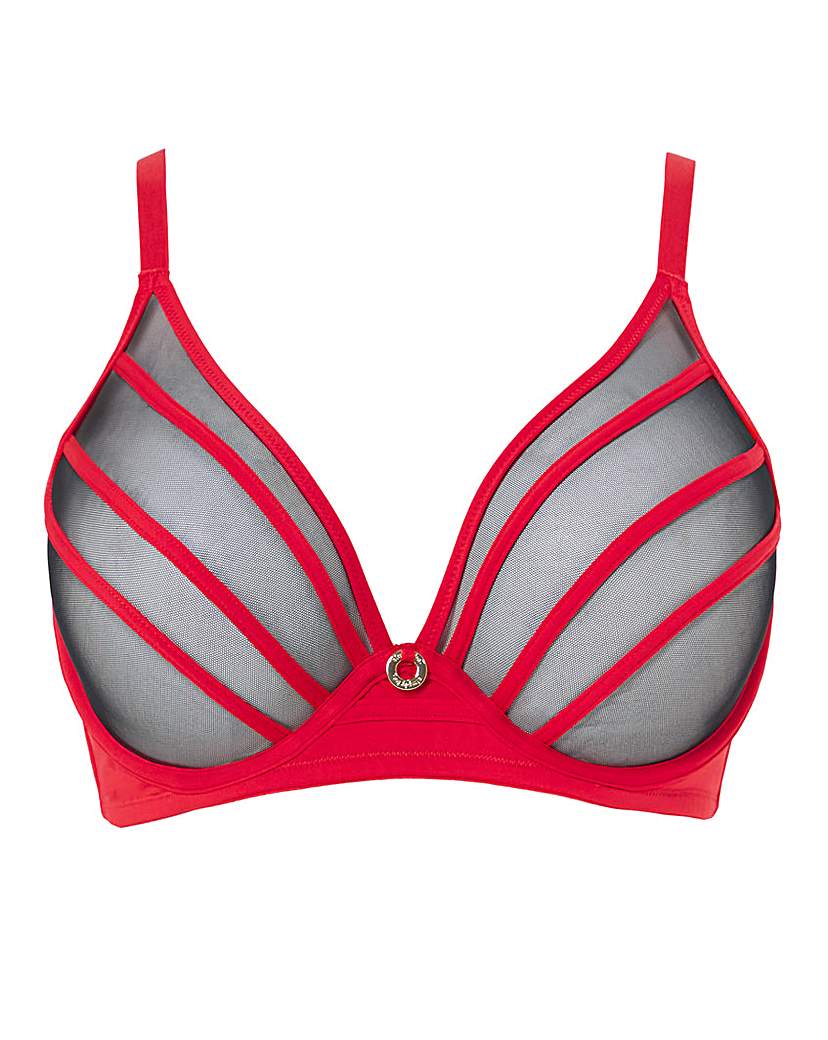 Sexy Sheer Mesh Plunge Bra