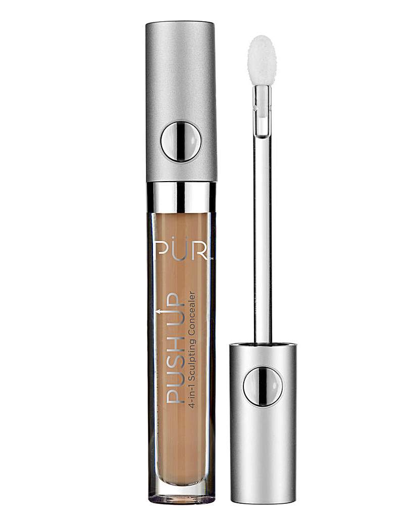 PUR Push Up 4 in 1 Concealer - DN2