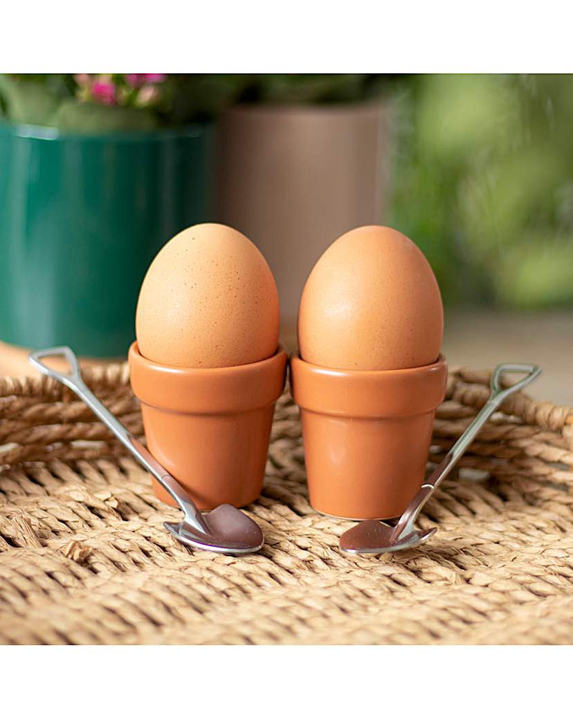 Egg Cup Plant Pot Gift