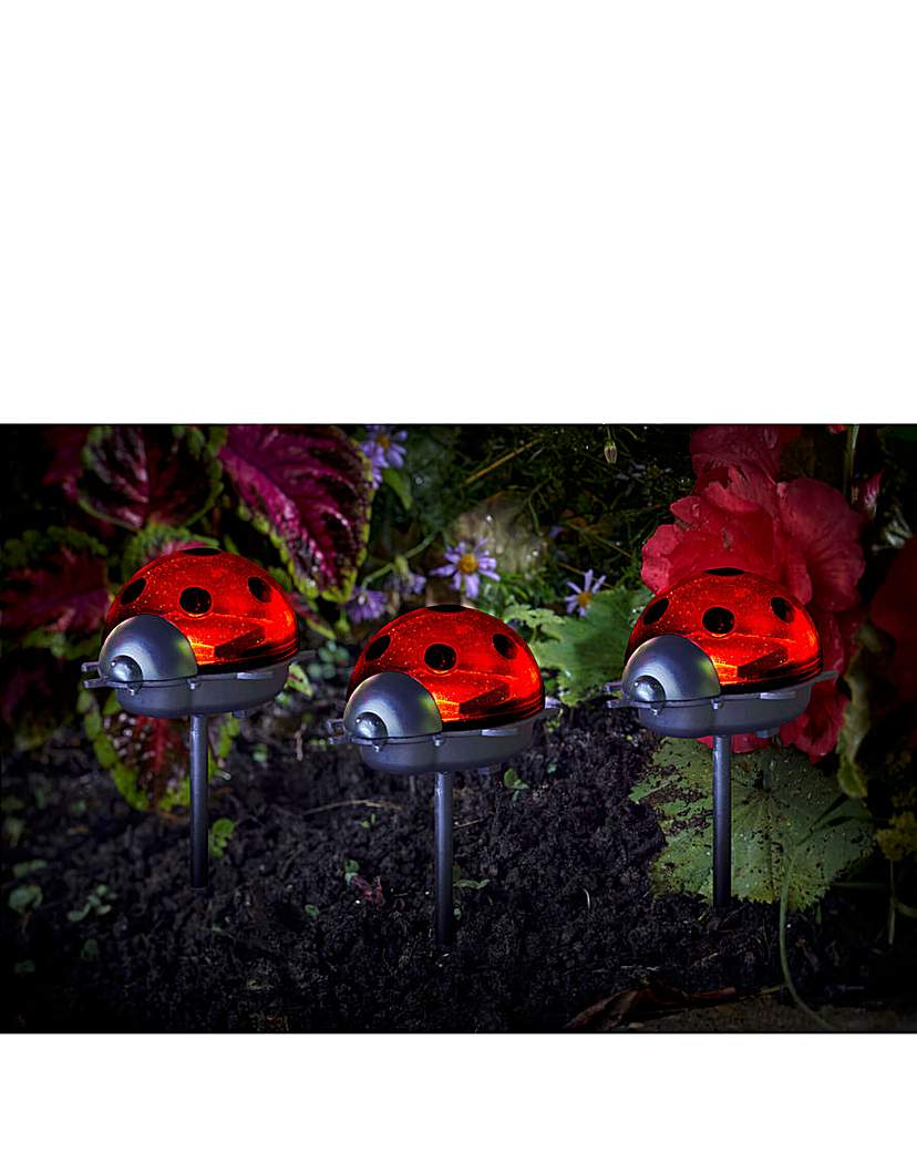 3 Ladybird Stake Lights