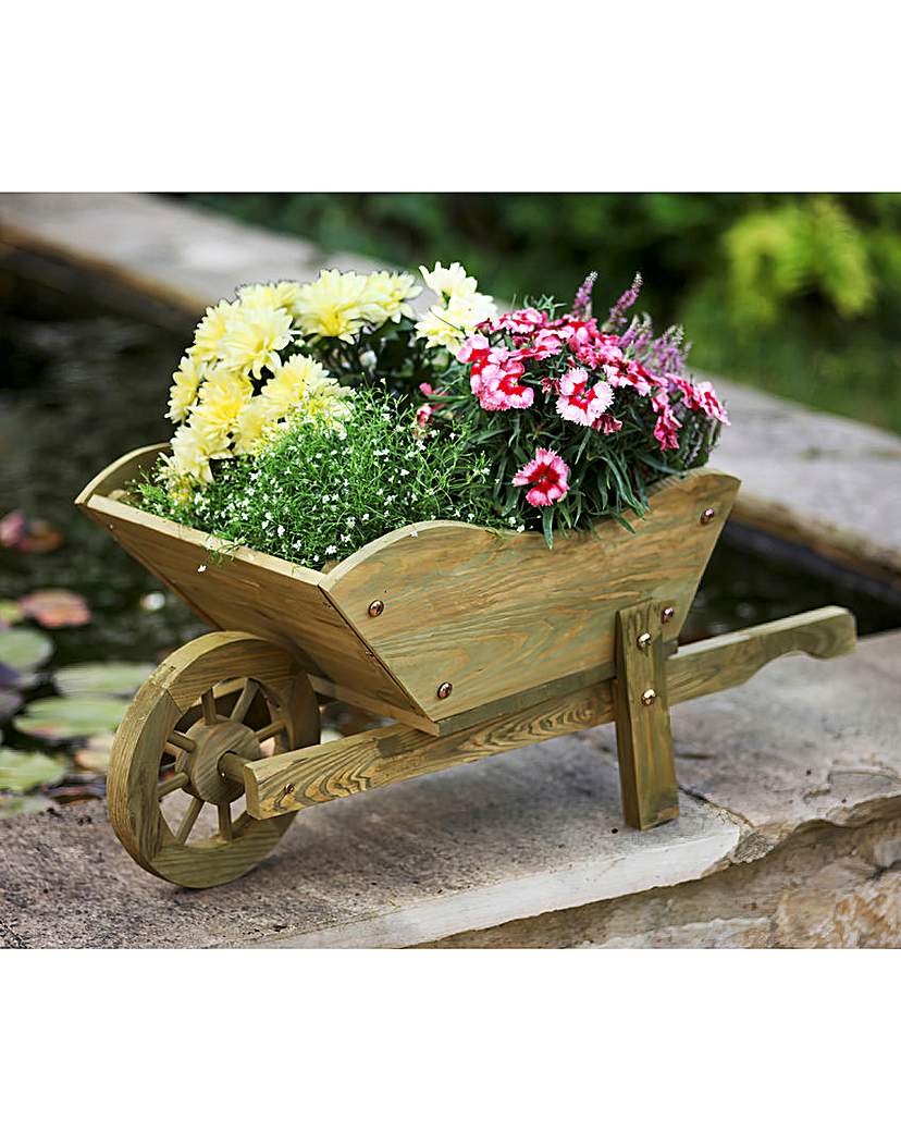 Wheelbarrow Planter