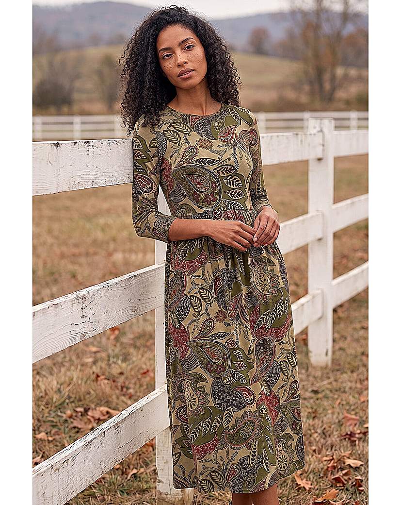 Roman Paisley Print Stretch Midi Dress