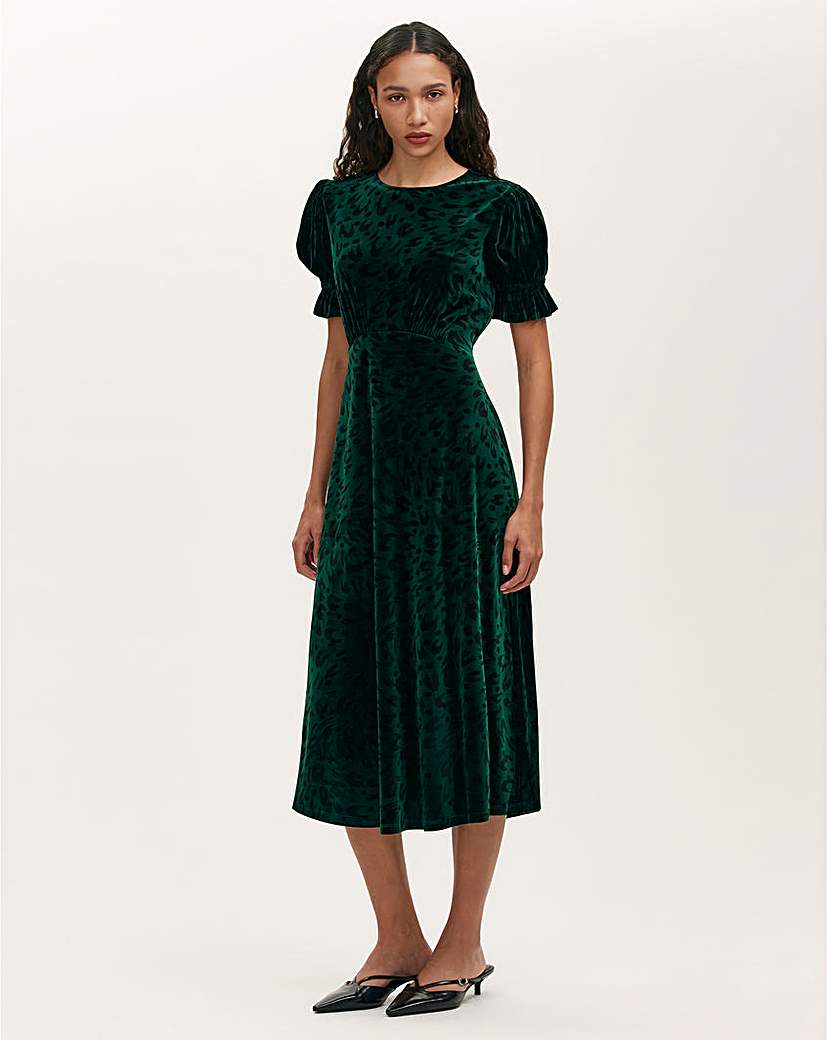 Finery London Animal Print Velvet Dress | JD Williams