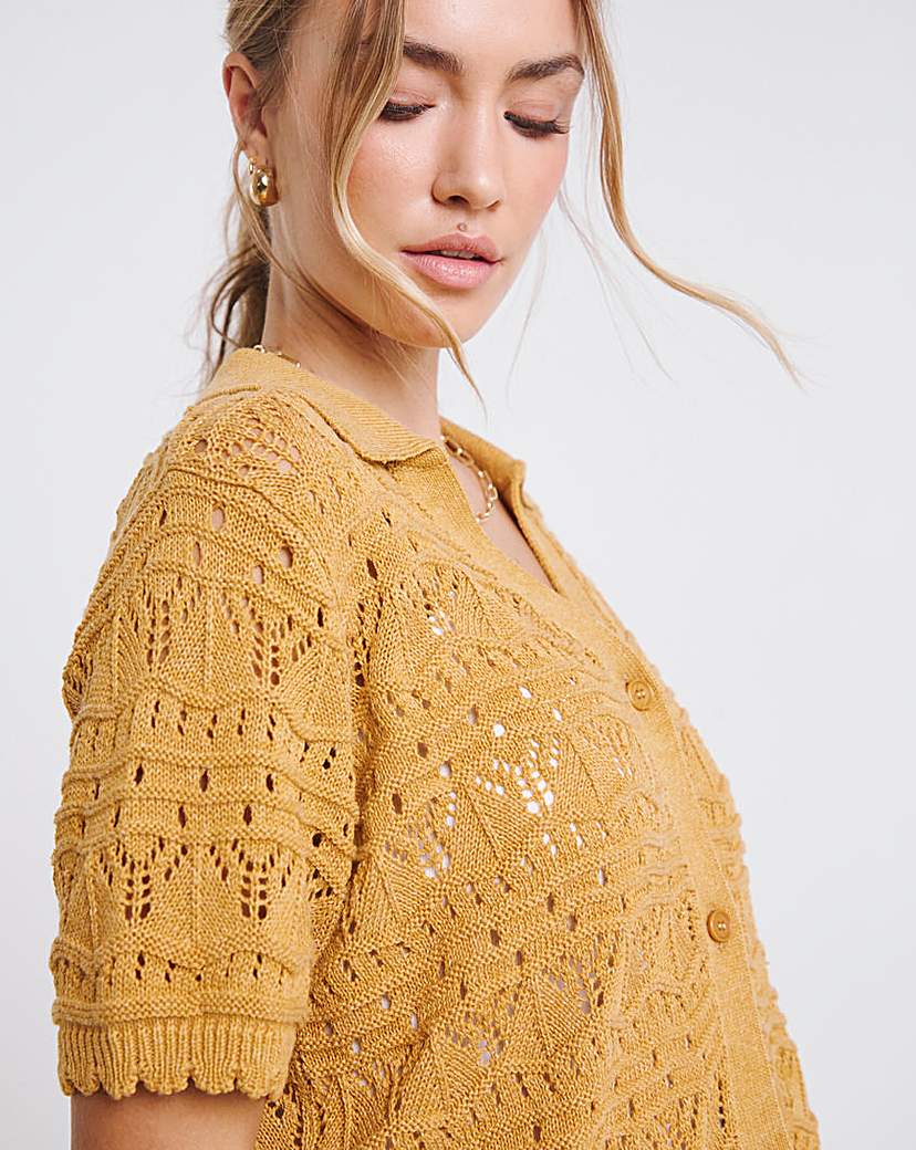 Pointelle Collared Knit Top