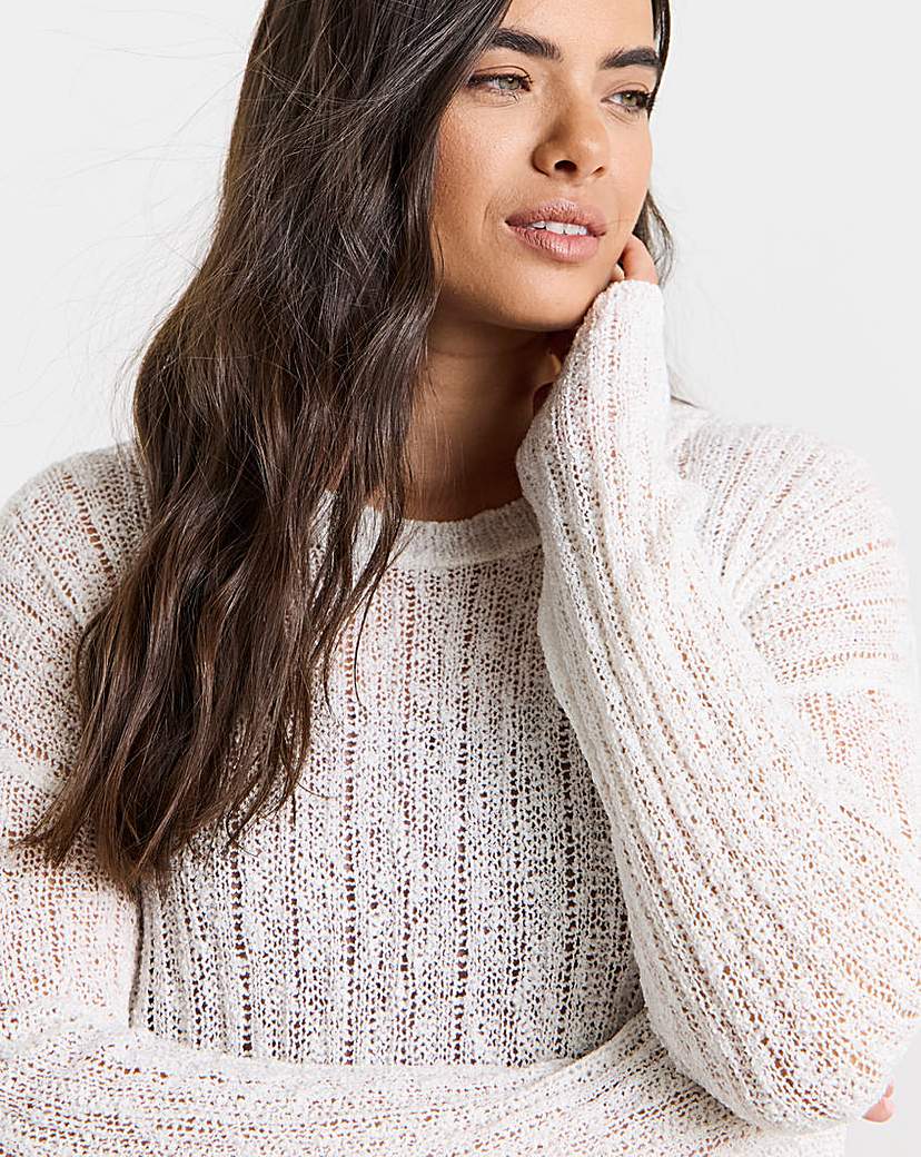 Hole Knit Crew Neck Jumper