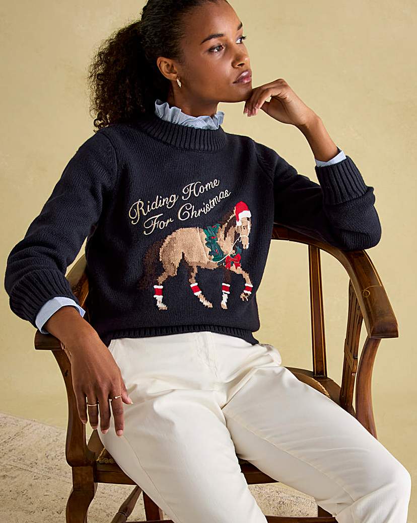 New In - Joules Christmas Novelty Jumper