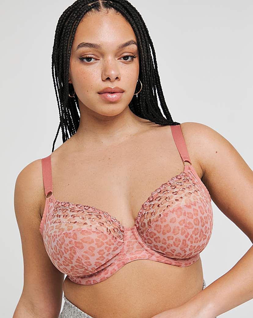 Elomi Matilda Plunge Wired Bra Rose Leo
