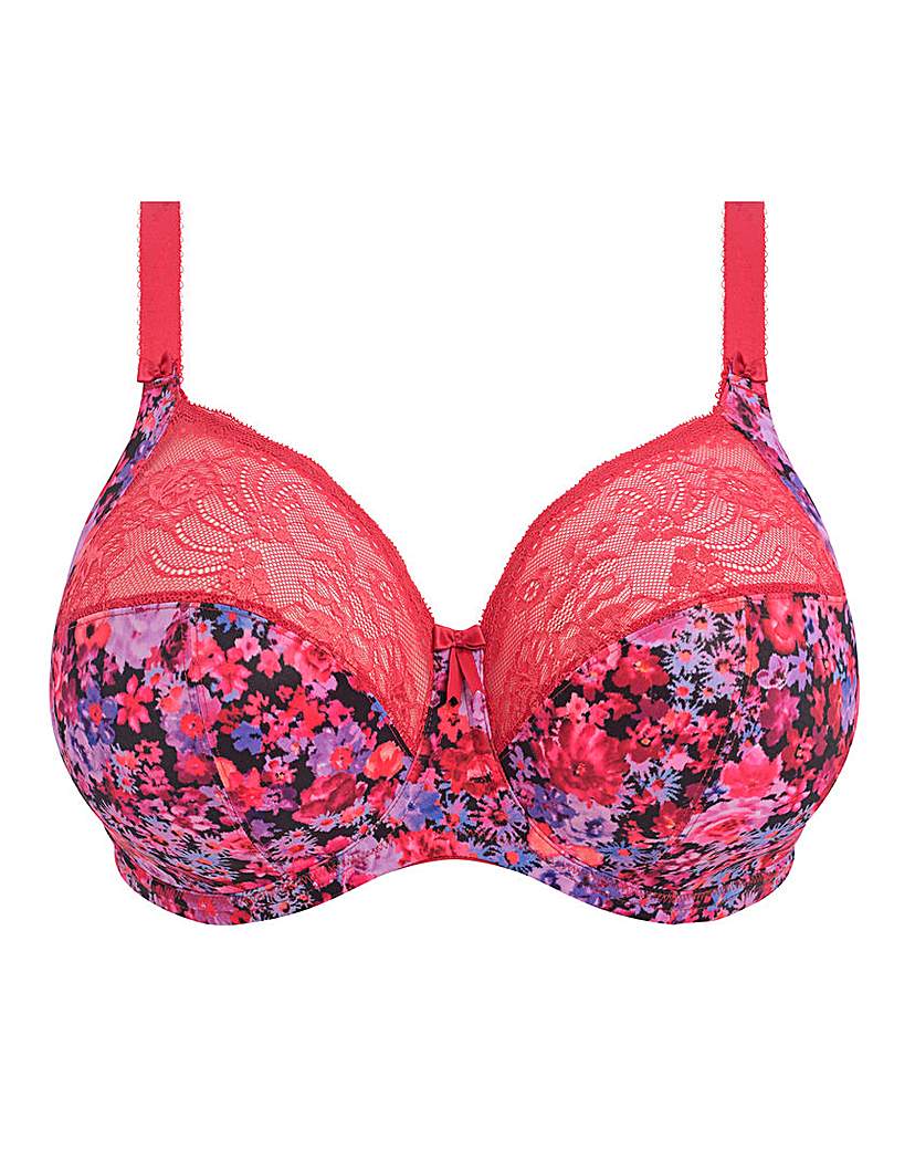 Elomi Morgan Full Cup Wired Bra Sunset