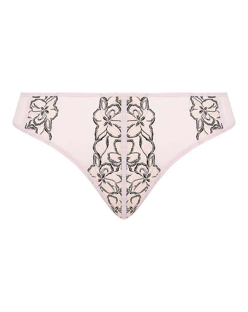 Contemporary Mesh & Lace Brief