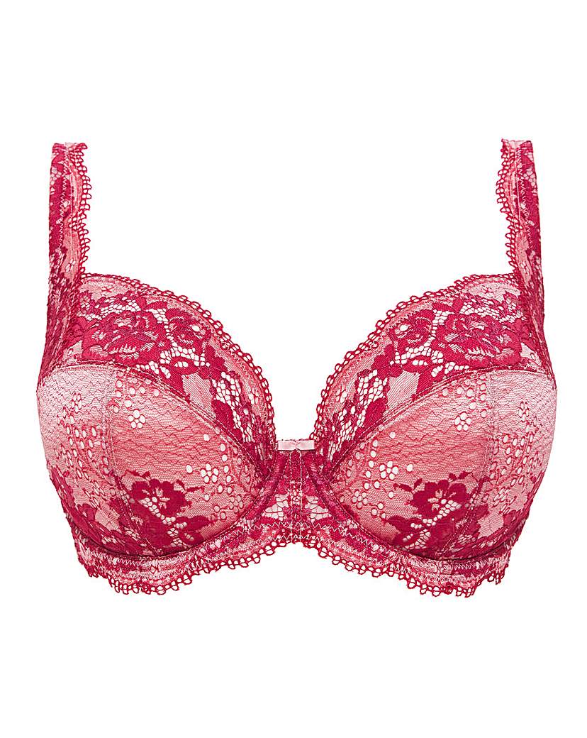 Contemporary Lace Padded Plunge Bra