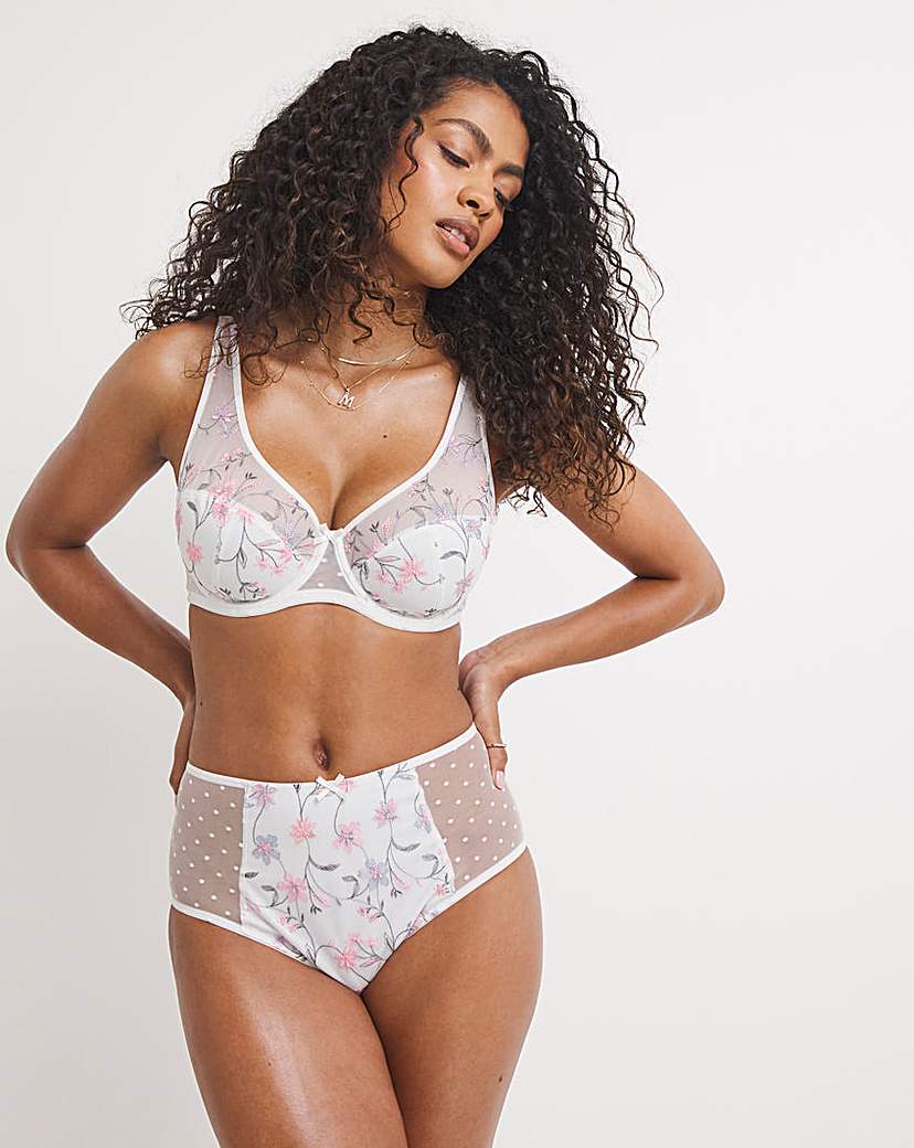 Amy Floral Embroidery & Spot Mesh Brief