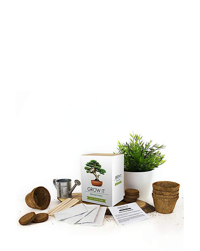 New In - Grow your own Bonsai Tree