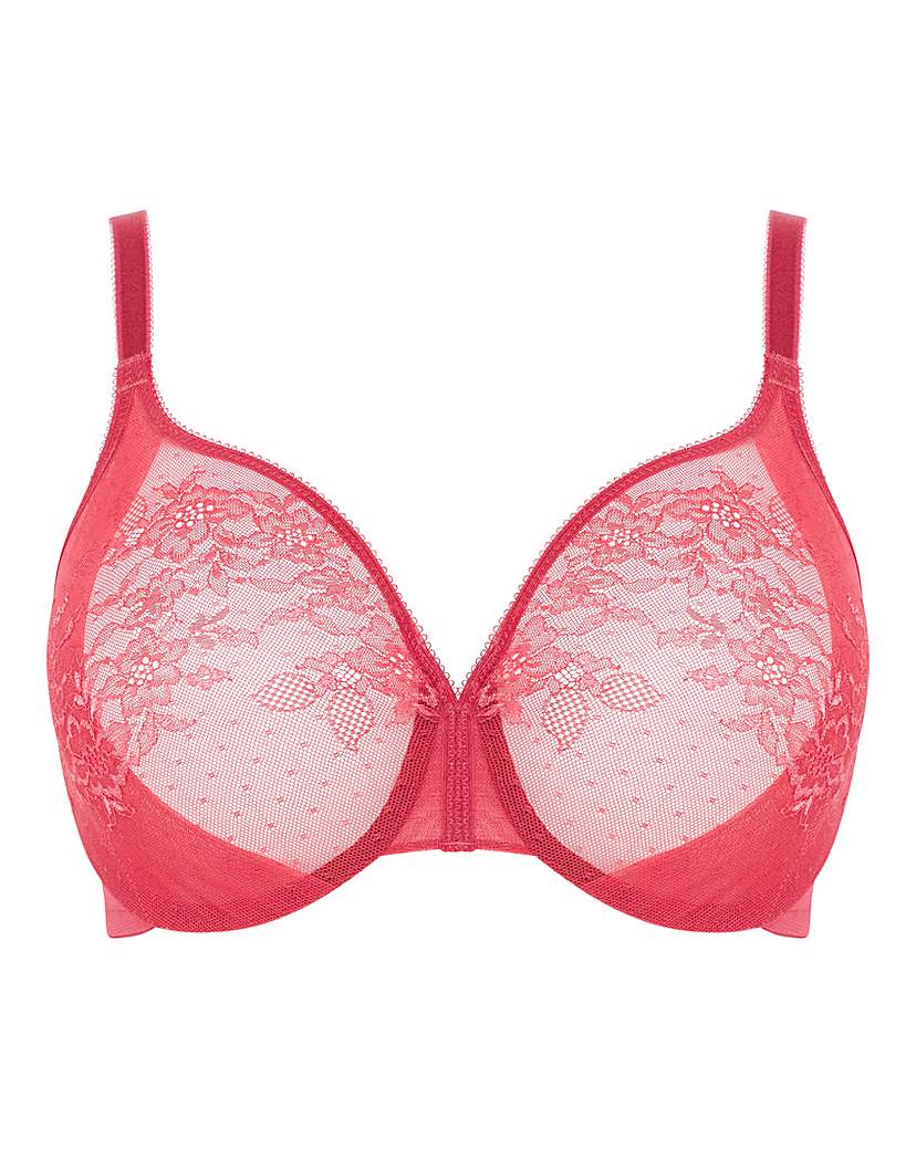 Gossard Glossies Lace Plunge Bra Rasp