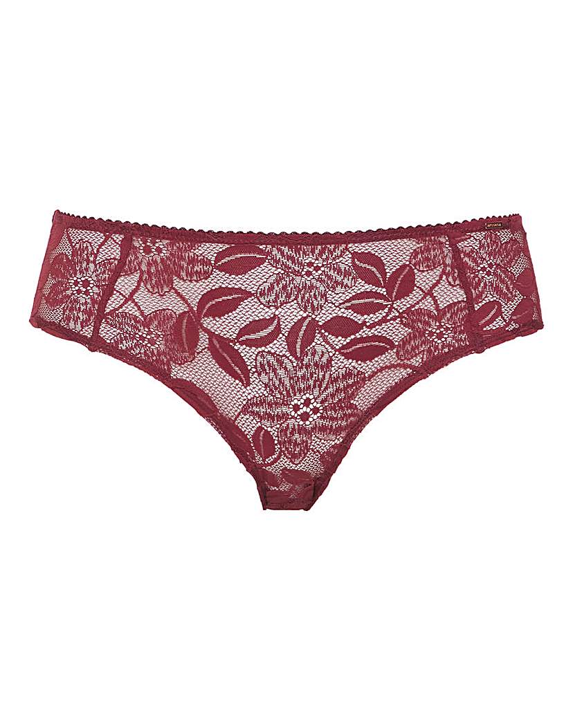 Dorina Daphne Classic Hipster Brief