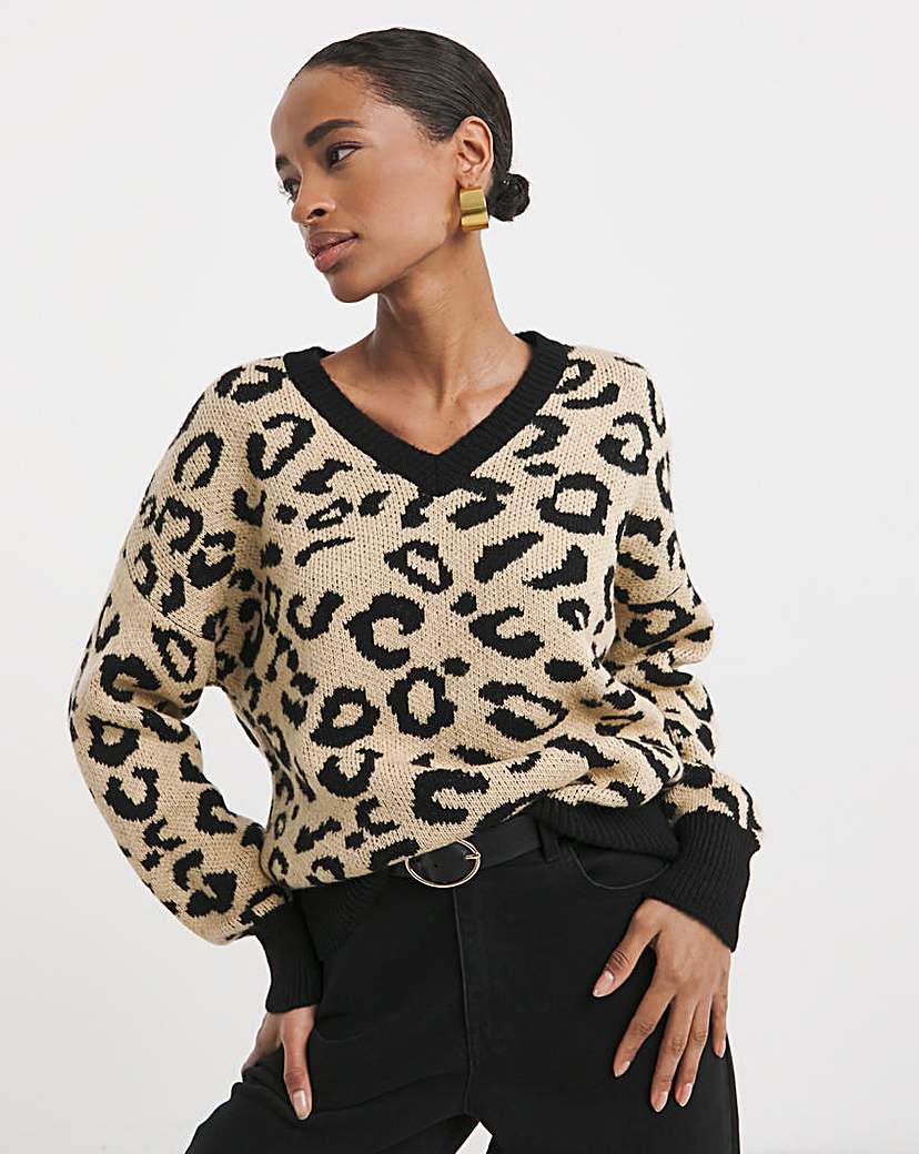 New In - Leopard V Neck Jumper