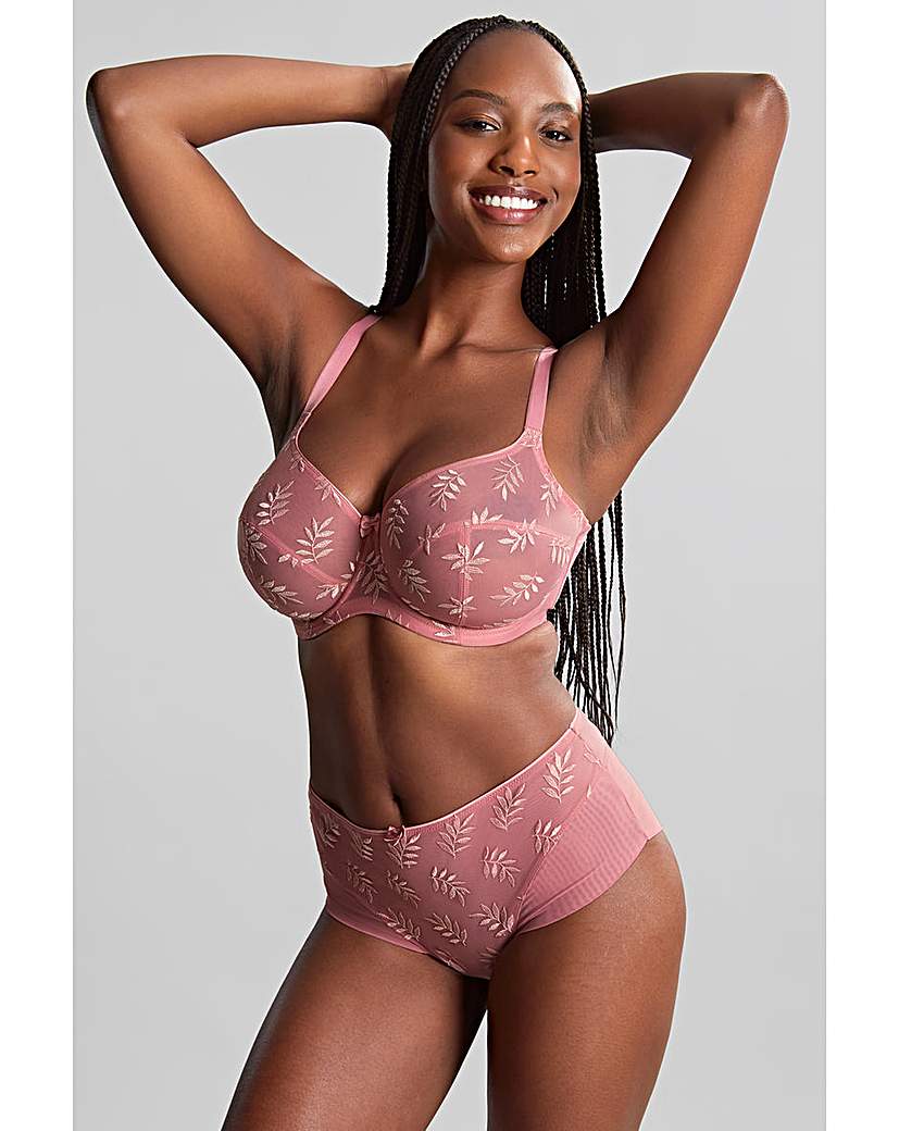 Panache Tango Deep Brief In Soft pink | UK Size 10 Women's