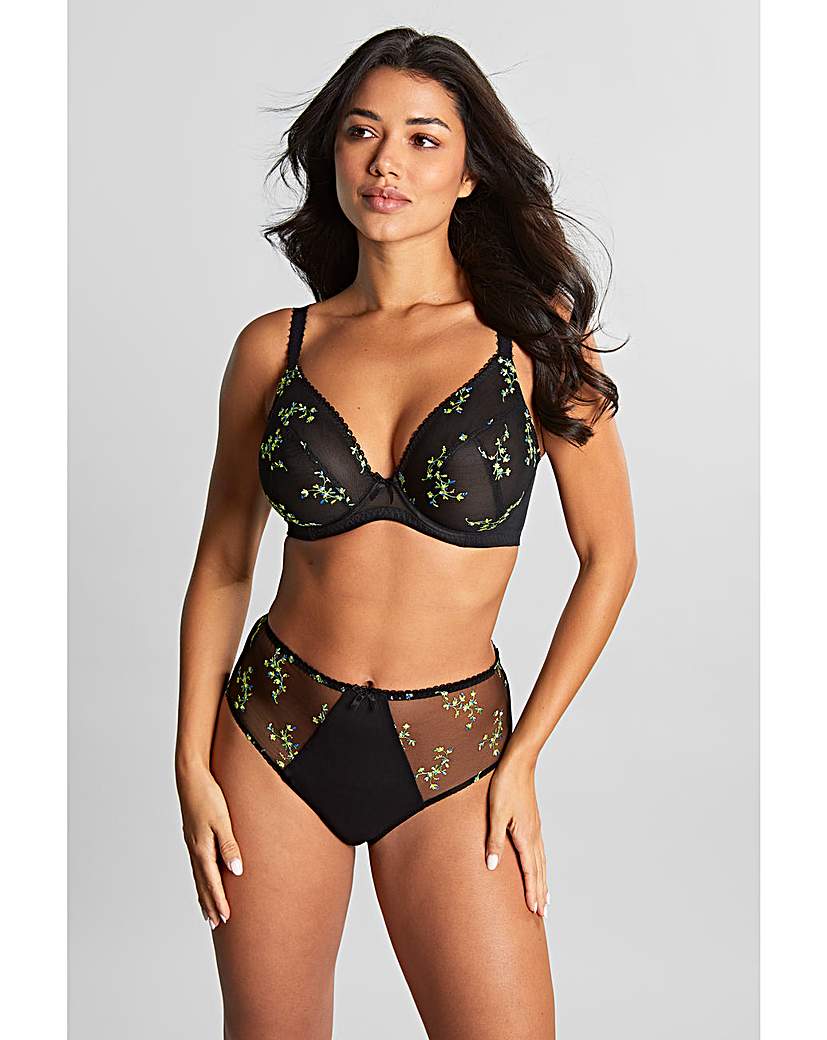 Panache Meadow Deep Brief