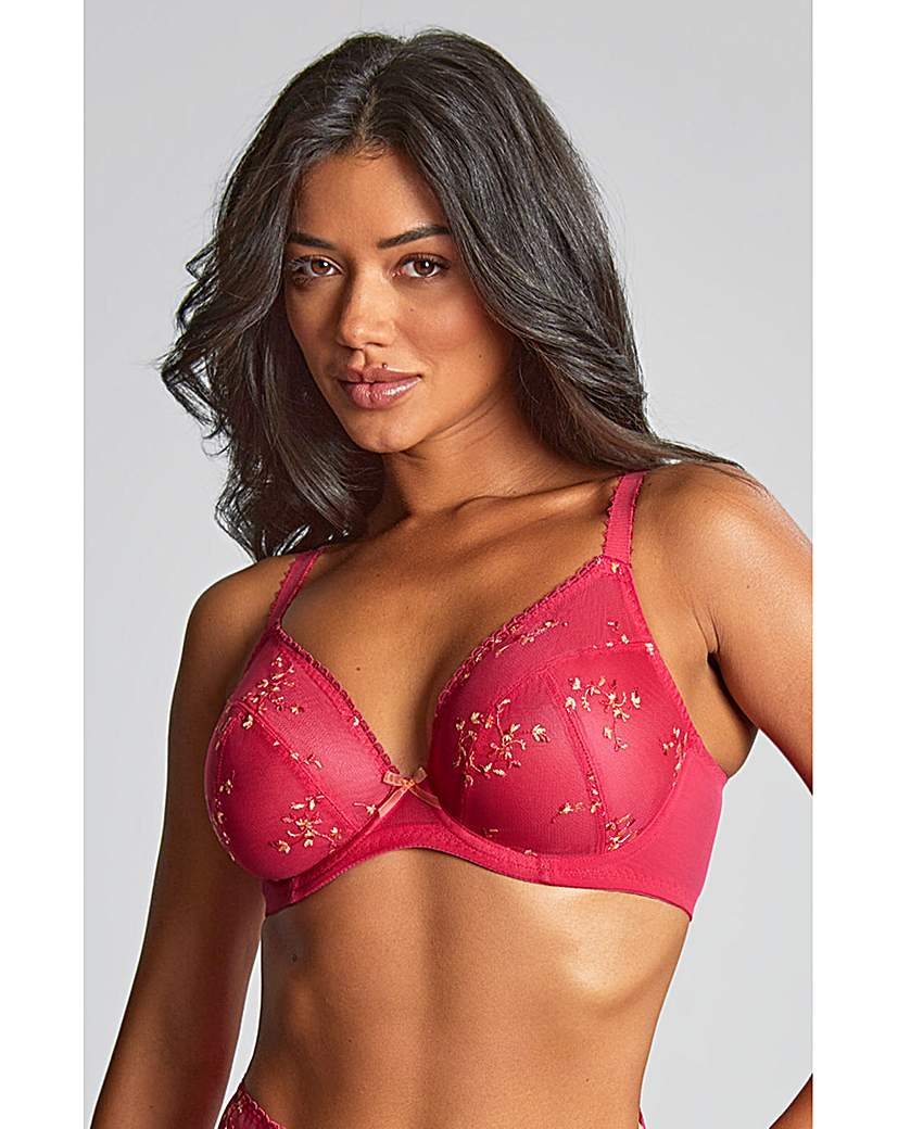 Panache Meadow Plunge Bra Raspberry
