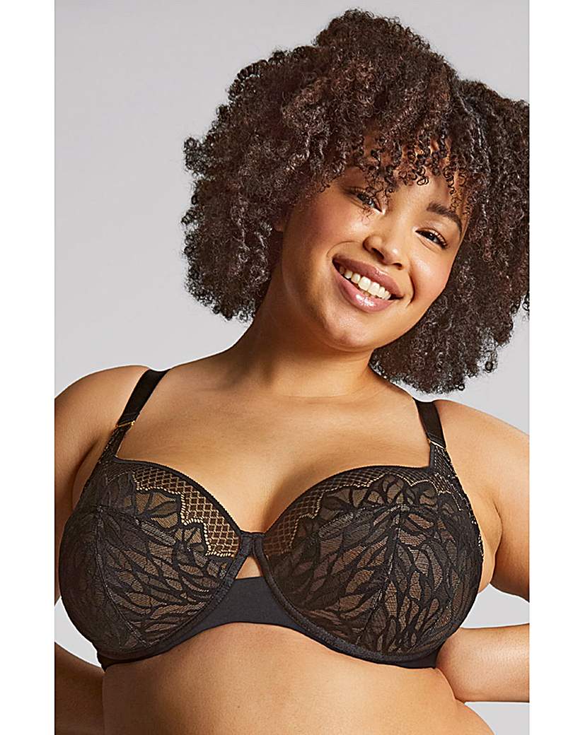 Sculptresse Sophia Full Cup Bra Black