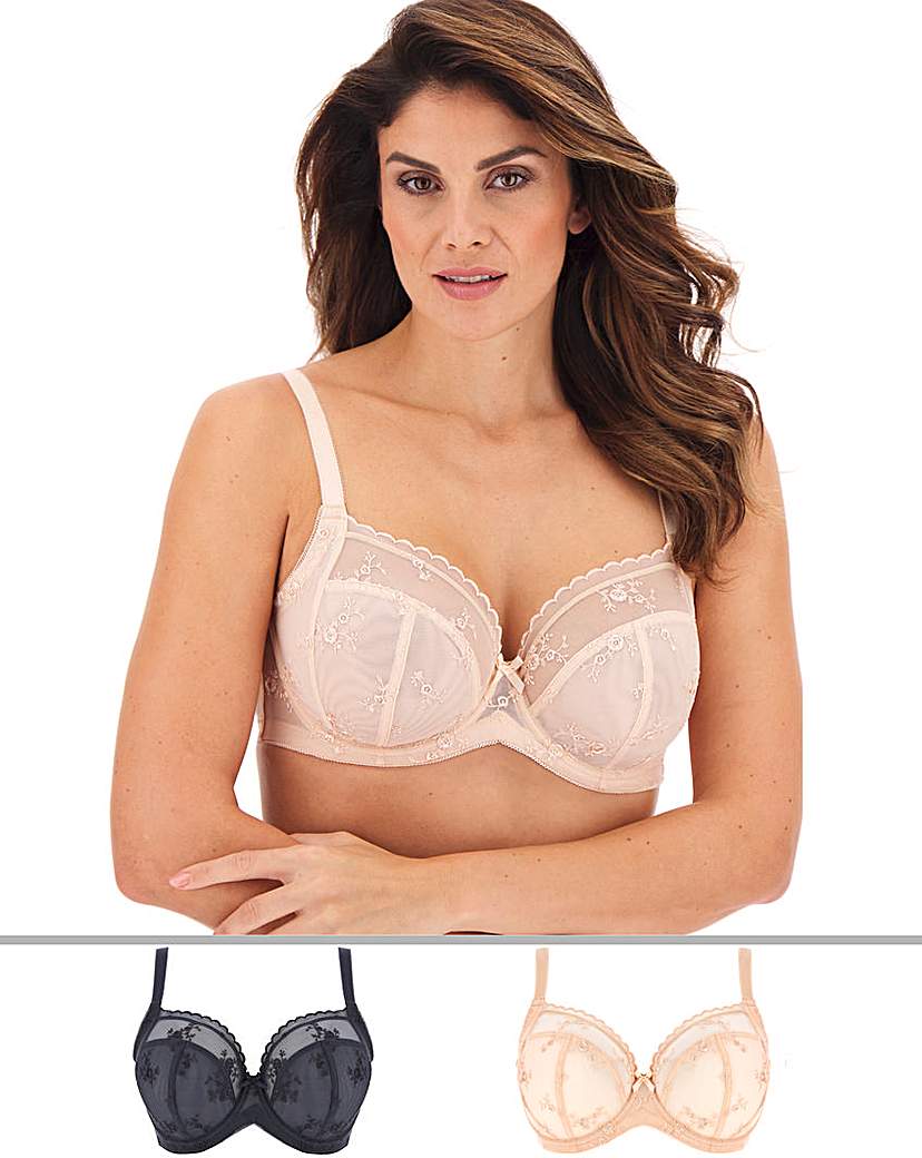 Image of Dorina Curves  Pack Rena Full Cup Bras