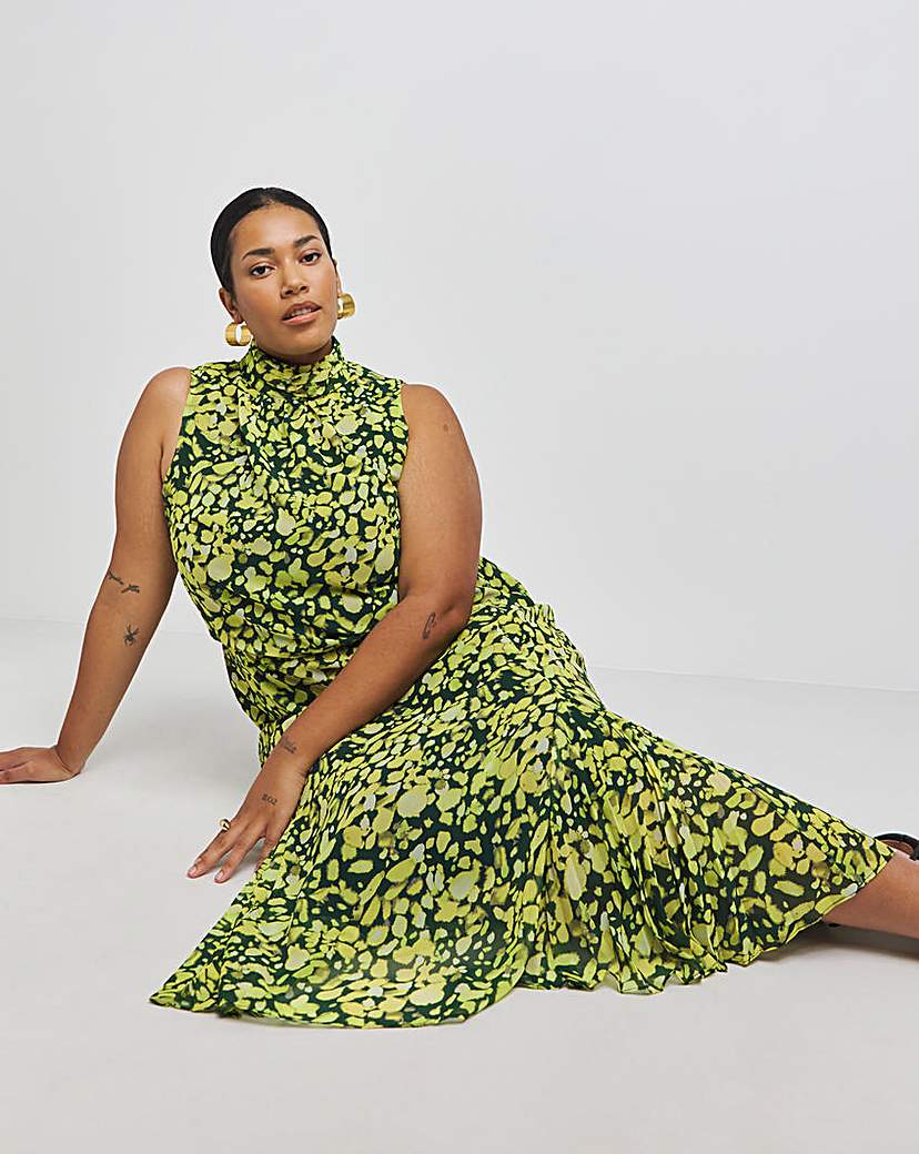 Joanna Hope High Neck Print Dress