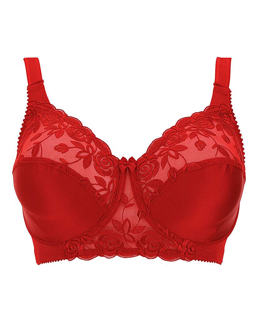 Image of Miss Mary Rose Embroidered Red Bra