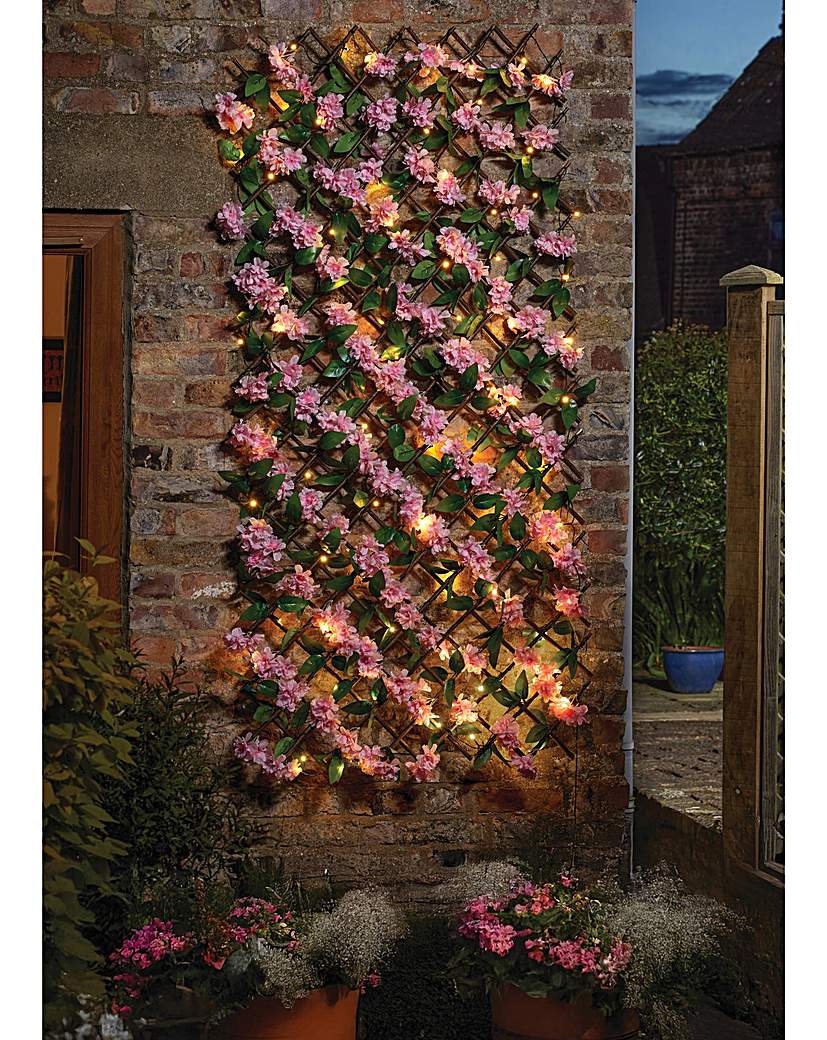 Solar Inlit Pink Blossom Trellis