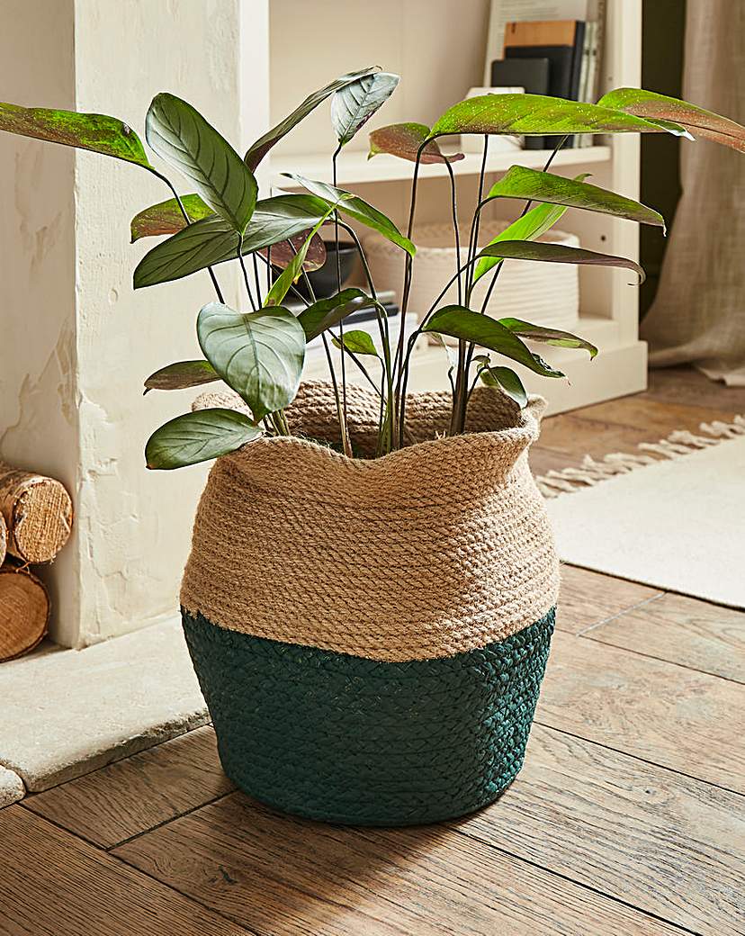 Julipa Natural & Green Storage Basket
