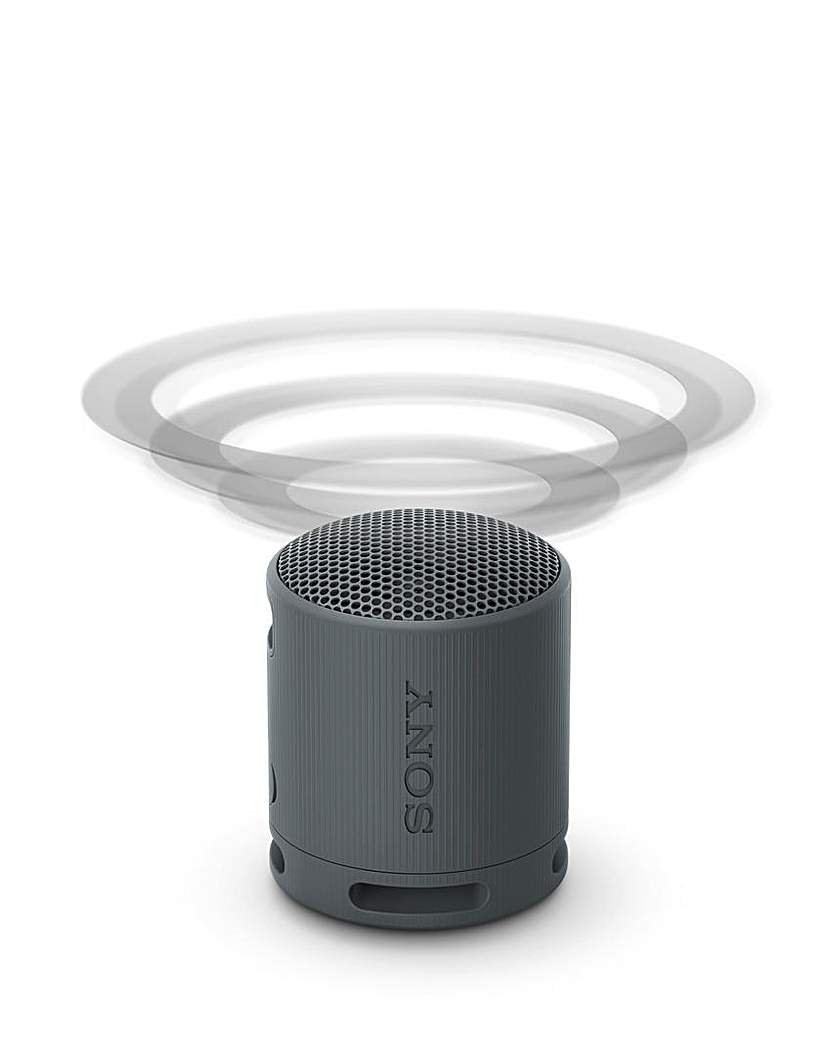 Sony SRS-XB100 Portable Speaker - Black