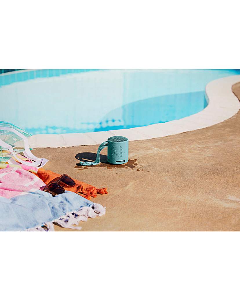Sony SRS-XB100 Portable Speaker - Black