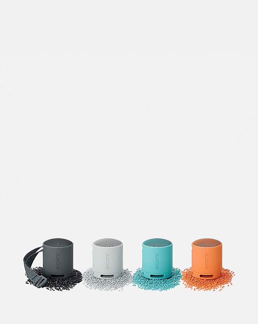 Sony SRS-XB100 Portable Speaker - Black